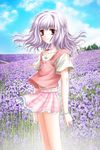  bracelet braid cowboy_shot day field flower flower_field game_cg gore_screaming_show jewelry lavender_(flower) miniskirt outdoors pink_skirt plaid plaid_skirt purple_hair red_eyes ribbon short_sleeves side_braid silver_hair skirt sky smile standing ueda_metawo wind yuka_(gore_screaming_show) 