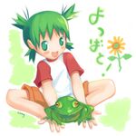  child flower frog koiwai_yotsuba kowai_yotsuba sunflower yotsubato yotsubato! 