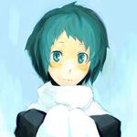  blush green_hair persona persona_3 scarf solo usuke_(hcd) yamagishi_fuuka 