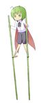  antennae bamboo bamboo_stilts cape green_eyes green_hair highres nakashino_setsu short_hair solo stilts tears touhou wriggle_nightbug 