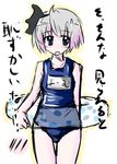  konpaku_youmu mirino name_tag one-piece_swimsuit school_swimsuit solo swimsuit touhou 