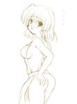  apron johnny_(from_scratch) lyrical_nanoha mahou_shoujo_lyrical_nanoha mahou_shoujo_lyrical_nanoha_a's monochrome naked_apron shamal sketch solo 