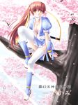  breasts cherry_blossoms cleavage collarbone dead_or_alive full_body in_tree japanese_clothes kasumi_(doa) kimono large_breasts na-ga outdoors pelvic_curtain plant ponytail sash sitting solo spring_(season) thighhighs tree 