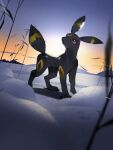  animal_focus blurry blurry_foreground closed_mouth cloud dutch_angle film_grain full_body highres matwvv no_humans outdoors pokemon pokemon_(creature) red_eyes sky snow solo standing sunset umbreon winter 