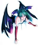  1girl all_fours animal_print bare_shoulders bat_print bat_wings breasts bridal_gauntlets cleavage closed_mouth collarbone demon_girl downblouse expressionless full_body green_hair head_wings leotard long_hair looking_at_viewer medium_breasts morrigan_aensland pantyhose print_legwear purple_eyes purple_legwear purple_wings simple_background solo succubus vampire_(game) white_background wings 