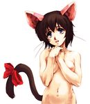  animal_ears blue_eyes breasts brown_hair cat_ears copyright_request hands_together hisahiko looking_up nipples nude open_mouth ribbon short_hair simple_background small_breasts solo tail tail_ribbon whiskers white_background 