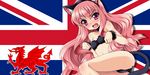  animal_ears cat_ears dragon flag_background hotori_(sion) long_hair louise_francoise_le_blanc_de_la_valliere solo union_jack united_kingdom zero_no_tsukaima 