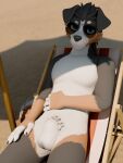 3d_(artwork) 5_fingers absurd_res animal_genitalia anthro arm_across_belly balls beach beach_chair beach_umbrella bernese_mountain_dog biped black_body black_claws black_ears black_fur black_hair black_nose blender_(artwork) blue_eyes brown_body brown_fur canid canine canis circle_eyebrows claws digital_media_(artwork) domestic_dog dutch_angle eyebrows eyewear eyewear_only finger_claws fingerless_(marking) fingerless_gloves_(marking) fingers floppy_ears fully_sheathed fur furniture genitals gloves_(marking) hair hand_on_leg head_tilt hi_res huge_filesize light lighting looking_at_viewer lying male mammal markings molosser mountain_dog multicolored_body multicolored_fur nude nude_anthro nude_beach on_back outside parasol pubes public public_nudity raised_eyebrow sand shadow sheath short_hair smile smiling_at_viewer smirk smirking_at_viewer snout solo sunglasses sunny swiss_mountain_dog three-quarter_view vrchat_model white_balls white_body white_eyebrows white_fur white_pubes white_sheath winter_nights winter_nights_(artist) winterpaw_canine