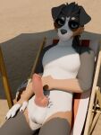 3d_(artwork) 5_fingers absurd_res animal_genitalia animal_penis anthro arm_across_belly balls beach beach_chair beach_umbrella bernese_mountain_dog biped black_body black_claws black_ears black_fur black_hair black_nose blender_(artwork) blue_eyes brown_body brown_fur canid canine canine_genitalia canine_penis canis circle_eyebrows claws digital_media_(artwork) domestic_dog dutch_angle erection eyebrows eyewear eyewear_only finger_claws fingerless_(marking) fingerless_gloves_(marking) fingers floppy_ears fur furniture genitals gloves_(marking) hair hand_on_leg head_tilt hi_res huge_filesize knot light lighting looking_at_viewer lying male mammal markings molosser mountain_dog multicolored_body multicolored_fur nude nude_anthro nude_beach on_back outside parasol penile penis pubes public public_nudity raised_eyebrow red_penis sand shadow sheath short_hair smile smiling_at_viewer smirk smirking_at_viewer snout solo sunglasses sunny swiss_mountain_dog three-quarter_view vrchat_model white_balls white_body white_eyebrows white_fur white_pubes white_sheath winter_nights winter_nights_(artist) winterpaw_canine