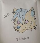 absurd_res anthro blue_hair canid canine canine_nose drawing fox fur hair headshot_portrait hi_res jayden_the_fox(yiffmaster3) male mammal orange_body orange_fur owo pink_eyes portrait solo yiffmaster3