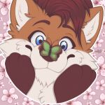 absurd_res anthro arthropod butterfly canid canine cherry_blossom flower fox happy hi_res insect lepidopteran male mammal naoto plant prunus_(flower) solo spring star_on_eye