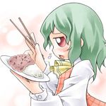  ascot breasts chibi chopsticks curry eating food green_hair kazami_yuuka large_breasts lowres nyagakiya plaid plaid_vest profile red_eyes short_hair sideways_mouth solo touhou upper_body vest 