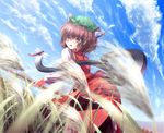  :o animal_ears blurry brown_hair bug cat_ears cat_tail chen cloud day depth_of_field dragonfly dutch_angle earrings insect jewelry leaning_forward multiple_tails orange_eyes outdoors plant ryosios short_hair single_earring solo staring surprised tail touhou water 