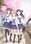  arm_holding black_hair braid brown_hair cherry_blossoms friends hair_ornament hair_over_shoulder hanasaku_iroha kishida_mel kneehighs legs loafers matsumae_ohana multicolored_hair multiple_girls oshimizu_nako petals power_lines railroad_signal railroad_tracks school_uniform serafuku shoes skirt thighhighs train_station tsurugi_minko twin_braids 