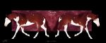 ambiguous_gender blue_eyes brown_body brown_mane brown_tail empty_eye_socket equid equine feral horse mammal mane model_sheet scarla_(scarlanya) scarlanya side_view signature solo tail white_body
