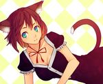  animal_ears blue_eyes breasts brown_hair cat_ears cat_tail cleavage medium_breasts neck_ribbon original ribbon sentou simple_background solo tail 