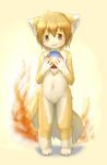  androgynous animal_ears barefoot blush fire firefox fox_ears fox_tail furry gradient gradient_background holding ka_(pixiv341010) kagerofu nude orange_eyes orb paws smile solo standing tail 