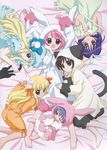  animal_costume animal_ears barefoot bed bed_sheet blonde_hair blue_eyes blush brown_hair bunny_costume cat_costume cat_ears cat_tail everyone hair_ribbon hat long_hair looking_at_viewer lying misha_(pita_ten) mitarai_kaoru mob_cap multiple_girls nyaa-san official_art on_back on_side orange_pants orange_shirt pajamas pink_hair pita_ten pom_pom_(clothes) purple_hair ribbon ribbon-trimmed_clothes ribbon_trim sakai_kyuuta sasha_(pita_ten) shia_(pita_ten) shino_(pita_ten) shirt sleepy smile tail teruterubouzu uematsu_koboshi 