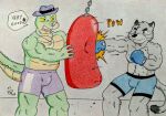 2025 alligator alligatorid anthro barazoku belly big_pecs black_nose blue_bottomwear blue_clothing blue_eyes blue_shorts bodily_fluids bottomwear boxing boxing_gloves boxing_shorts brok_(brok_the_investigator) brok_the_investigator cat_tail clothing cowcat_games crocodilian dashthefox dialogue domestic_cat fedora felid feline felis fur graff_filsh green_body grey_body grey_fur handwear hat headgear headwear hi_res jewelry male mammal motion_lines musclegut muscular muscular_anthro muscular_arms muscular_male onomatopoeia pecs pendant punch punching_bag purple_bottomwear purple_clothing purple_hat purple_headwear purple_shorts reptile scalie shorts sound_effects speech_bubble sport sweat sweatdrop tail text thick_tail traditional_media_(artwork) training yellow_sclera