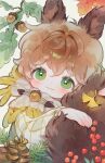  :3 animal_ears berry blush brown_hair chestnut child closed_mouth conago copyright_request fluffy_tail green_eyes holding_own_tail hugging_own_tail hugging_tail looking_at_viewer pine_tree pinecone short_hair smile tail tree white_background 