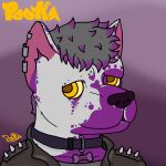 1:1 anthro artist_name canid canine canis clothed clothing collar digital_drawing_(artwork) digital_media_(artwork) domestic_dog ear_cuff english_text fur hair hi_res highlights_(coloring) icon jacket leather leather_clothing leather_jacket leather_topwear looking_at_viewer male mammal name_tag pooka_(pookashifts) pookashifts pupils purple_highlights signature simple_background smile solo spikes text topwear yellow_eyes yellow_pupils yellow_sclera