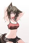  1girl absurdres alternate_costume alternate_hair_length alternate_hairstyle animal_ear_fluff animal_ears arknights armpits arms_up bare_shoulders black_hair black_panties black_shorts breasts brown_eyes cleavage closed_mouth collarbone colored_inner_hair cowboy_shot english_commentary hands_in_own_hair highres looking_at_viewer medium_breasts medium_hair midriff multicolored_hair nash11 navel one_eye_closed open_clothes open_shorts panties red_hair red_sports_bra shorts simple_background solo sports_bra tail texas_(arknights) twitter_username underwear white_background wolf_ears wolf_girl wolf_tail 