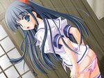  ass blue_eyes blue_hair blush butt_crack dutch_angle game_cg long_hair no_pants panties panty_pull school_uniform solo thighhighs underwear undressing yakimochi_twinbell yamino_kenji 