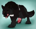  animal_genitalia balls black_body black_fur black_nose canid canine echo_(wolffylegend) fangs feral fur genitals glistening glistening_eyes grey_balls grey_body grey_fur hi_res killthe_demon knot_in_sheath licking licking_lips licking_own_lips looking_at_viewer male male_feral mammal open_mouth penis penis_tip red_tongue sheath solo spots teeth three-quarter_view tongue tongue_out white_body white_fur white_spots yellow_eyes 