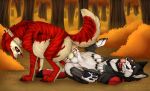  anal anal_penetration angel_(velvetvlade) balls belly belly_inflation black_body black_fur bodily_fluids canid canine cum cum_in_ass cum_inflation cum_inside cum_on_own_penis cum_on_own_sheath cum_on_penis cum_on_self duo eyes_closed felid feral feral_on_feral feral_penetrated feral_penetrating feral_penetrating_feral forest fur genital_fluids genitals grey_body grey_fur hair hi_res inflation killthe_demon knotting lying male male/male male_penetrated male_penetrating male_penetrating_male mammal markings mutual_anal_penetration mutual_knotting mutual_penetration on_back outside penetration penile penile_penetration penis penis_in_ass plant red_body red_fur red_hair red_penis sex shrub side_view striped_back striped_legs striped_markings striped_neck striped_tail stripes tail tail_markings tan_balls tan_body tan_fur tree white_balls white_body white_fur yipsky 