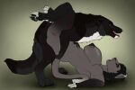  anthro anthro_on_feral anthro_penetrated bestiality between_legs bite_mark black_body black_fur black_hair black_nipples black_nose black_pawpads canid canine dipstick_ears duo ear_markings echo_(wolffylegend) fangs felid female female_anthro female_penetrated feral feral_penetrating feral_penetrating_anthro fur grey_body grey_fur hair hi_res killthe_demon male male/female male_feral male_penetrating male_penetrating_female mammal miasma_velenosa_(miasmium) multicolored_ears nipples nude open_mouth pawpads penetration pink_tongue scratches sex side_view simple_background teeth tongue white_body white_fur yellow_eyes 