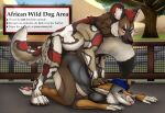  african_wild_dog animal_genitalia animal_penis anthro anthro_on_feral anthro_penetrated ass_up bestiality bite black_nose blep blue_eyes blue_hair brown_body brown_fur canid canine canine_genitalia canine_penis closed_smile duo erection feral feral_penetrating feral_penetrating_anthro from_behind_position fur genitals grey_body grey_fur grey_nose hair hi_res killthe_demon looking_pleasured lying male male/male male_anthro male_feral male_penetrated male_penetrating male_penetrating_male mammal markings mouth_closed nude on_front penetration penis red_eyes red_hair red_markings red_penis sex short_hair smile tail tail_bite tail_in_mouth tongue tongue_out white_body white_fur yellow_sclera 