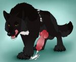  balls black_body black_fur black_nose bodily_fluids canid canine cum cum_on_ground cumshot echo_(wolffylegend) ejaculation erection fangs feral fur genital_fluids genitals glistening glistening_eyes grey_balls grey_body grey_fur hi_res killthe_demon knot licking licking_lips licking_own_lips looking_at_viewer male male_feral mammal open_mouth red_tongue solo spots teeth three-quarter_view tongue tongue_out white_body white_fur white_spots yellow_eyes 