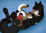  balls black_body black_fur black_nose black_vulva brown_body brown_fur duo echo_(wolffylegend) female female_penetrated feral feral_on_feral feral_penetrated feral_penetrating feral_penetrating_feral fur genitals green_eyes grey_balls grey_body grey_fur hi_res killthe_demon licking licking_another looking_pleasured lying male male/female male_penetrating male_penetrating_female markings narrowed_eyes on_back on_top open_mouth penetration penile penile_penetration penis_in_vagina ranger_(ranger_the_yote) red_tongue sex size_difference striped_back striped_markings striped_tail stripes tail tail_markings tongue tongue_out vaginal vaginal_penetration vulva white_body white_fur yellow_eyes 