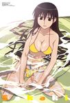 absurdres azumanga_daiou bikini highres sakaki swimsuit water 