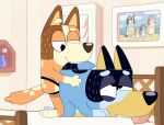 4_fingers anal anal_penetration anthro australian_cattle_dog bandit_heeler bed bite biting_sheets black_body black_eyes black_fur black_nose blue_body blue_eyebrows blue_eyelids blue_fur bluey_(series) brown_body brown_fur brown_nose canid canine canis canon_couple cattledog chilli_heeler detailed_background domestic_dog dominant dominant_female duo ears_back evasiveemmett eyebrows female female_penetrating female_penetrating_male fingers fur furniture greying_hair half-closed_eyes herding_dog hi_res holding_onto_partner husband_and_wife intraspecies looking_at_another looking_down looking_down_at_partner looking_pleasured male male/female male_penetrated mammal married_couple mature_female mature_male narrowed_eyes object_in_ass obscured_penetration on_bed on_model orange_body orange_eyelids orange_fur orgasm_face pastoral_dog pegging penetration pivoted_ears sex sex_toy sex_toy_in_ass sex_toy_insertion strapon strapon_sex submissive submissive_male tail tail_bite tail_in_mouth tan_body tan_fur tan_muzzle teeth toying_partner white_body white_eyebrows white_fur