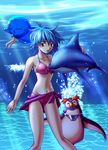  ayanami_rei bikini blue_hair dolphin neon_genesis_evangelion pen_pen penpen red_eyes swimsuit underwater 