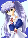  blue_hair hoshino_ruri kidou_senkan_nadesico maid martian_successor_nadesico yellow_eyes 