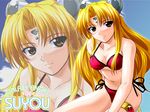  blonde_hair brown_eyes chogenbo_musasiya franboise_ranpha galaxy_angel highres ranpha_franboise swimsuit wallpaper 