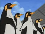  animated animated_gif bird gif penguin precure pretty_cure 