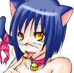  animal_ears blue_hair busou_renkin cat_ears cat_tail lowres scar tail tsumura_tokiko yellow_eyes 