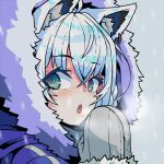  1girl ahoge aikohgin animal_ear_piercing animal_ears blue_eyes breath cold commentary english_commentary extra_ears eyelashes fox_ears fur_trim grey_background grey_mittens highres hololive hood hood_up mittens open_mouth parka parted_lips shirakami_fubuki solo virtual_youtuber white_hair 