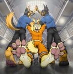 4_toes anthro barefoot belt biped bird_dog black_body black_bottomwear black_clothing black_fur black_inner_ear_fluff black_pants black_pawpads blue_clothing blue_topwear bottomwear brown_body brown_eyes brown_fur canid canine canis claws clothing cuff_(restraint) cuffed_ankles diesel_(foot-paws) dobermann domestic_dog eyes_closed feet finger_claws foot-paws foot_focus fur furgonomic_bottomwear furgonomic_pants furgonomics german_shepherd gesture golden_retriever group handcuffed handcuffs herding_dog hi_res high_five hunting_dog inner_ear_fluff male mammal metal_cuffs multicolored_body multicolored_fur open_mouth open_smile orange_clothing pants pastoral_dog pawpads paws pink_nose pink_pawpads pink_tongue pinscher police police_uniform prison prison_uniform prisoner restraints retriever shepard_(foot-paws) smile tail tail_between_legs teeth toe_claws toes tongue tongue_out topwear trio tuft uniform wearing_sunglasses yellow_body yellow_fur