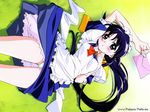  andou_mahoro blue_hair green_eyes mahoromatic maid panties underwear wallpaper 