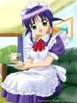  andou_mahoro blue_hair green_eyes mahoromatic maid 