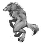 ambiguous_gender anthro ariel_fain canid canine canis claws digital_media_(artwork) digitigrade female_(lore) fur grey_body grey_fur grey_mane looking_up mammal mane monochrome muscular nude simple_background solo tail white_background wolf