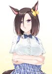  1girl air_groove_(umamusume) animal_ears apron blue_apron blue_bow blue_bowtie blue_eyes blush bow bowtie breasts brown_hair checkered_apron checkered_clothes commentary_request crossed_arms ear_bow ear_chain employee_uniform gingham_apron gingham_clothes gingham_skirt hair_between_eyes horse_ears horse_girl kobeya kobeya_uniform large_breasts linked_piercing looking_at_viewer mikage_takashi parted_lips piercing plaid_apron plaid_clothes shirt short_hair short_sleeves simple_background skirt umamusume waitress white_shirt yellow_bow 