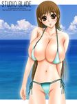  1girl akenagi_yoshiha big_breasts bikini breasts brown_eyes brown_hair busty huge_breasts large_breasts long_hair ocean original skimpy solo studio_blade swimsuit very_long_hair water yoshiha_akenagi 