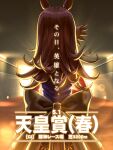  1girl animal_ears black_bow blue_dress bow brown_hair commentary_request dress fascinator from_behind horse_ears horse_girl horse_tail long_hair long_sleeves peeta rice_shower_(rosy_dreams)_(umamusume) rice_shower_(umamusume) solo tail tunnel umamusume 