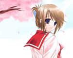  blue_eyes blush brown_hair cherry_blossoms folded_ponytail from_behind hair_up hayashi_sakura komaki_manaka looking_at_viewer looking_back outdoors petals school_uniform smile solo to_heart_2 tree 