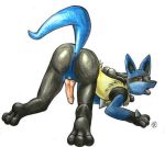  animal_genitalia animal_penis anthro black_fur blue_fur butt canid canine canine_penis erection fur knot looking_at_viewer looking_back lucario male mammal nintendo nude open_mouth paws penis pok&eacute;mon pok&eacute;mon_(species) presenting presenting_hindquarters simple_background solo unknown_artist video_games 